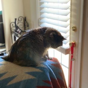 Meet your Posher, Donna